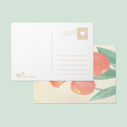 Tulips - Postcard